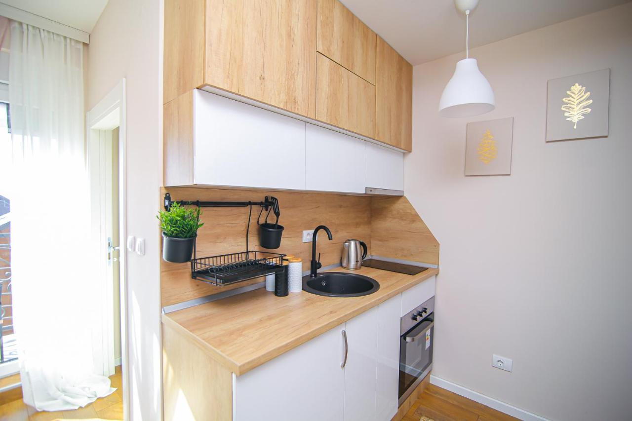 Narcis 17 - Novonamesteni Apartman Sa Prelepim Pogledom Na Tornik Златибор Экстерьер фото